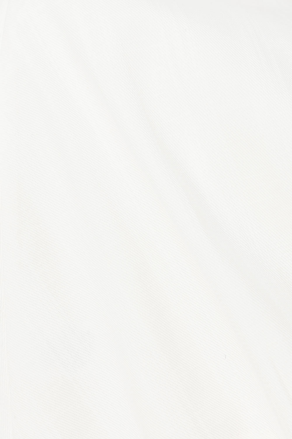 true-to-color:#ffffff