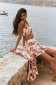 Avion Crop - Flor Del Sol