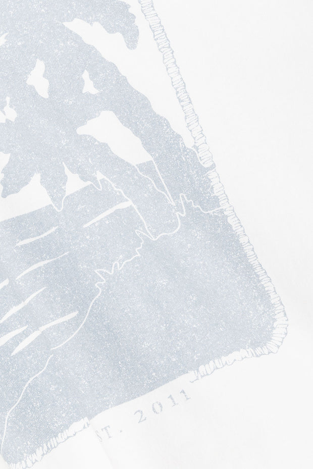 true-to-color:#ffffff