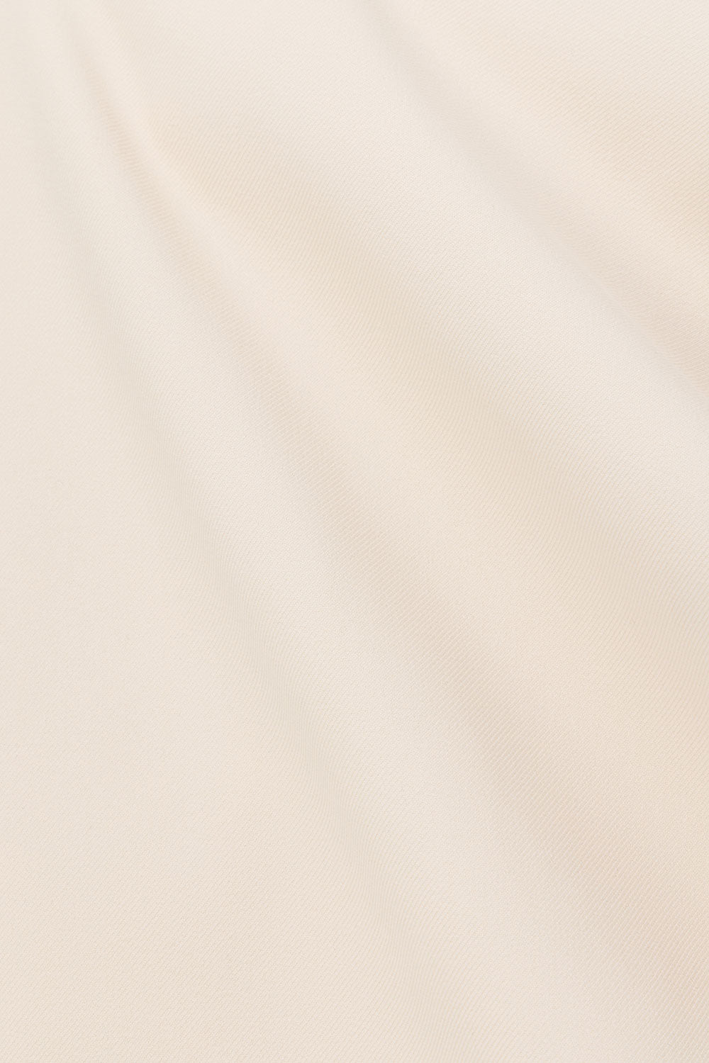 true-to-color:#ffffff