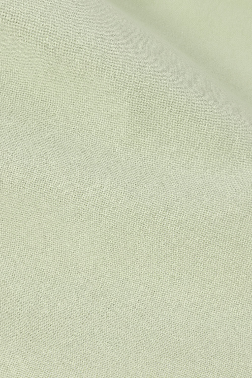 true-to-color:#ffffff