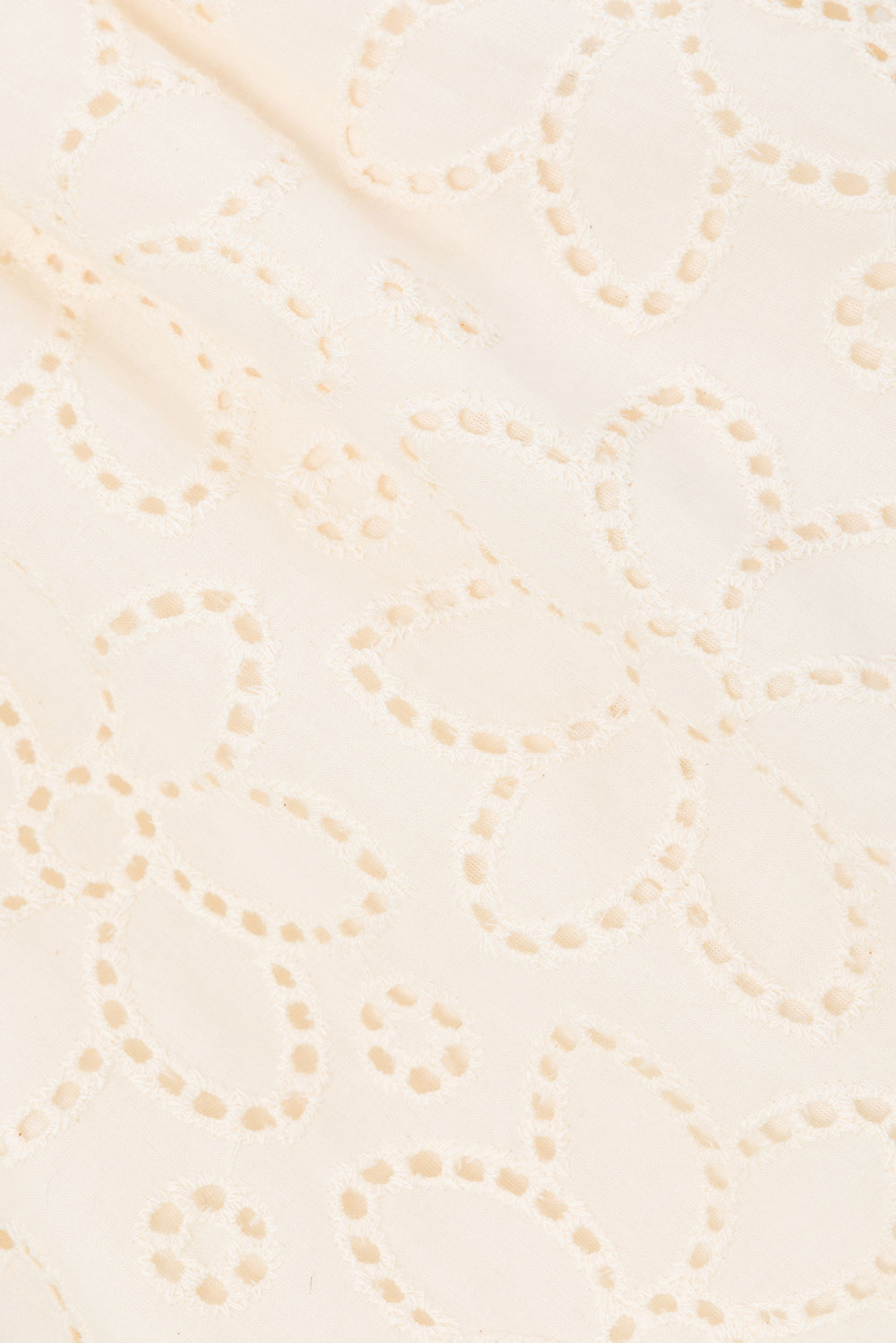 true-to-color:#ffffff