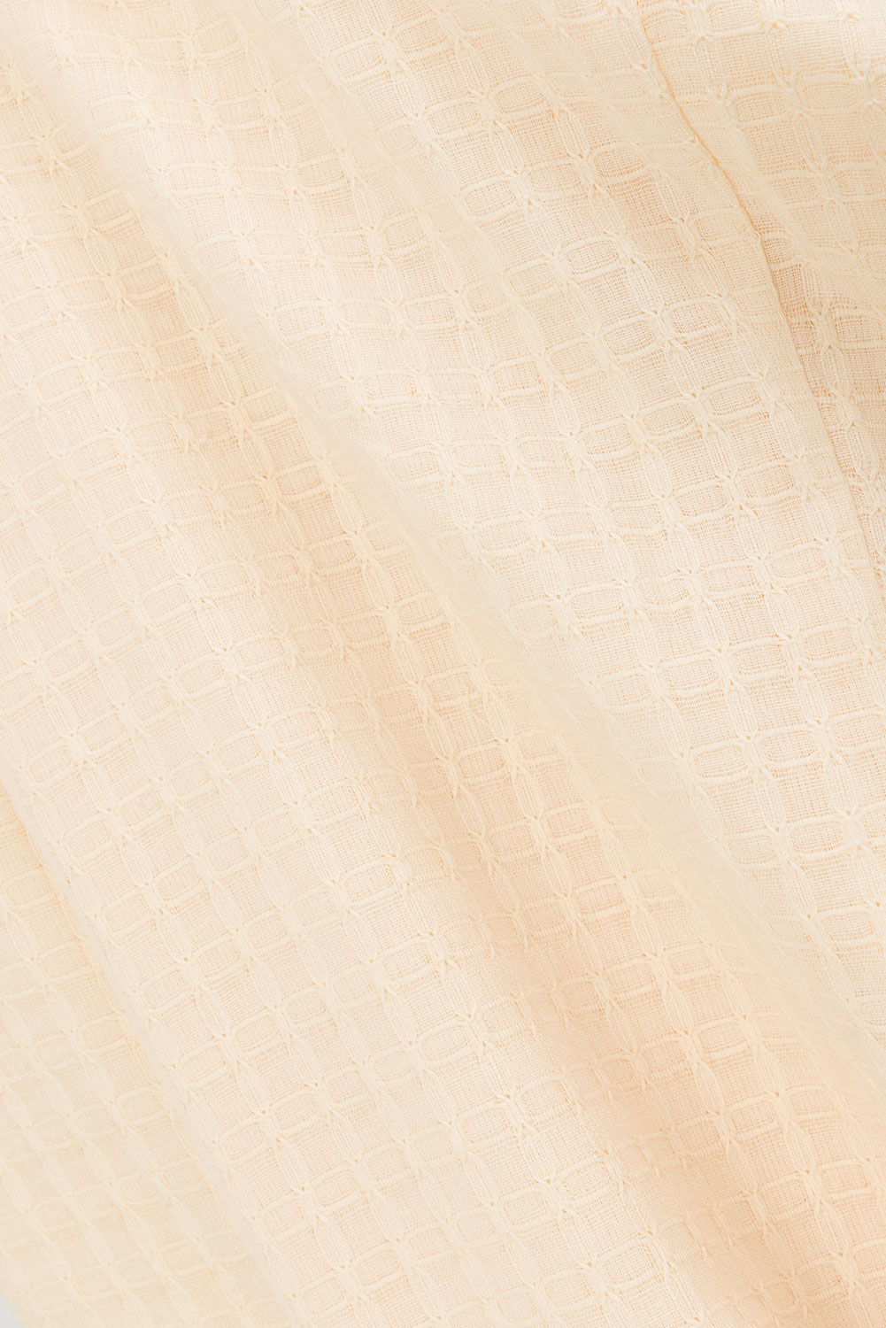 true-to-color:#ffffff