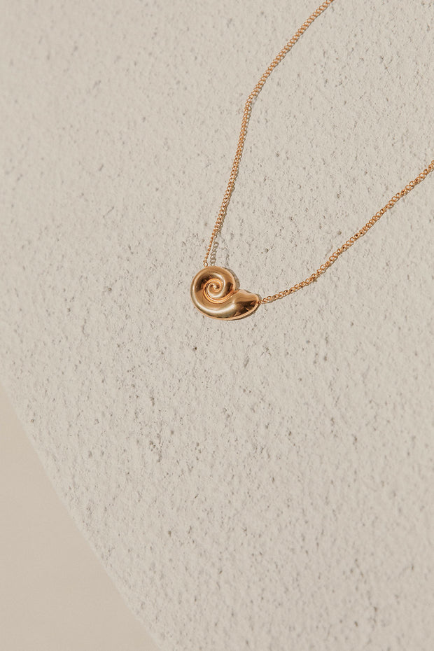 Twirl Shell Necklace