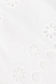 true-to-color:#ffffff