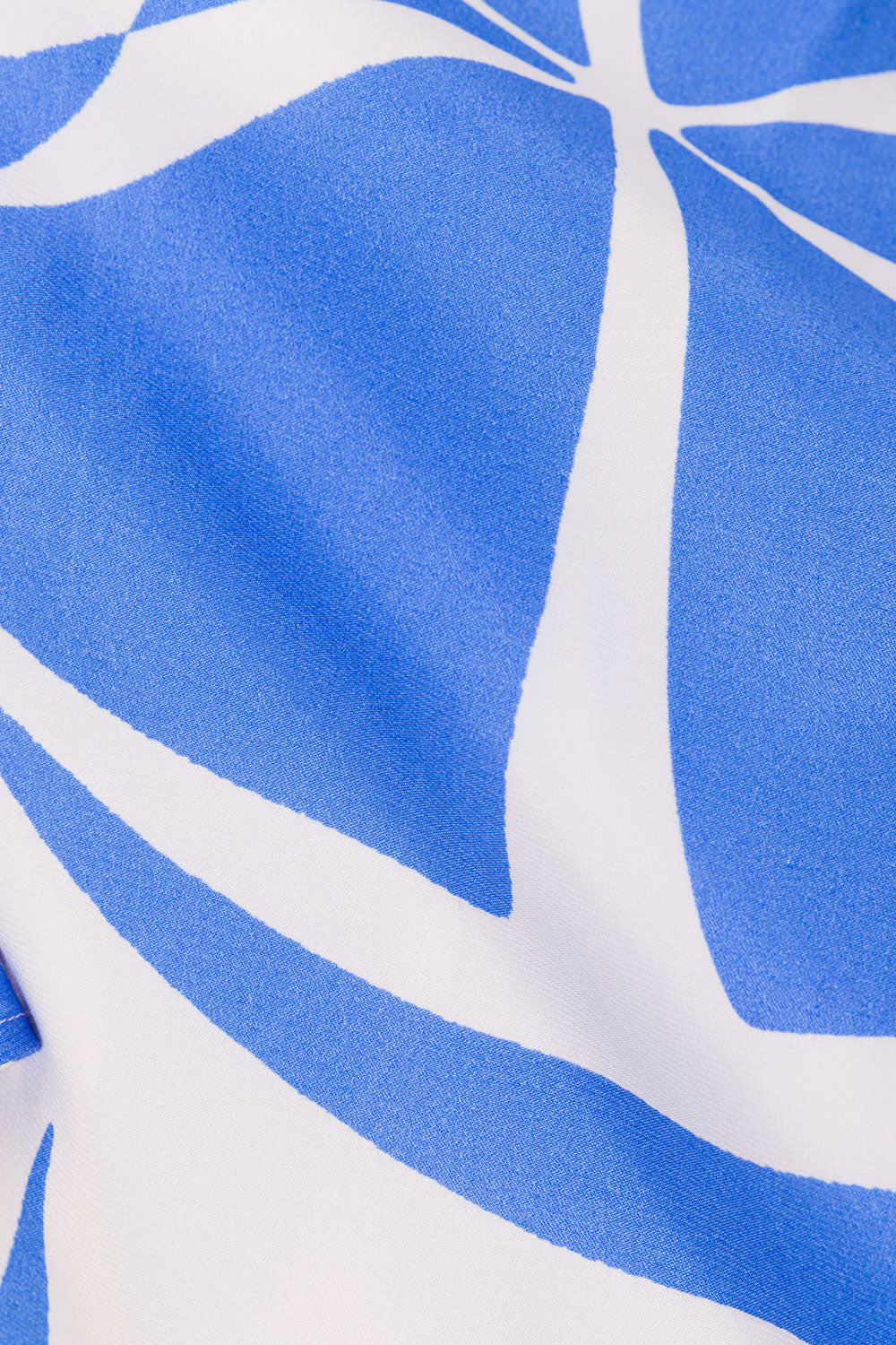 true-to-color:#ffffff