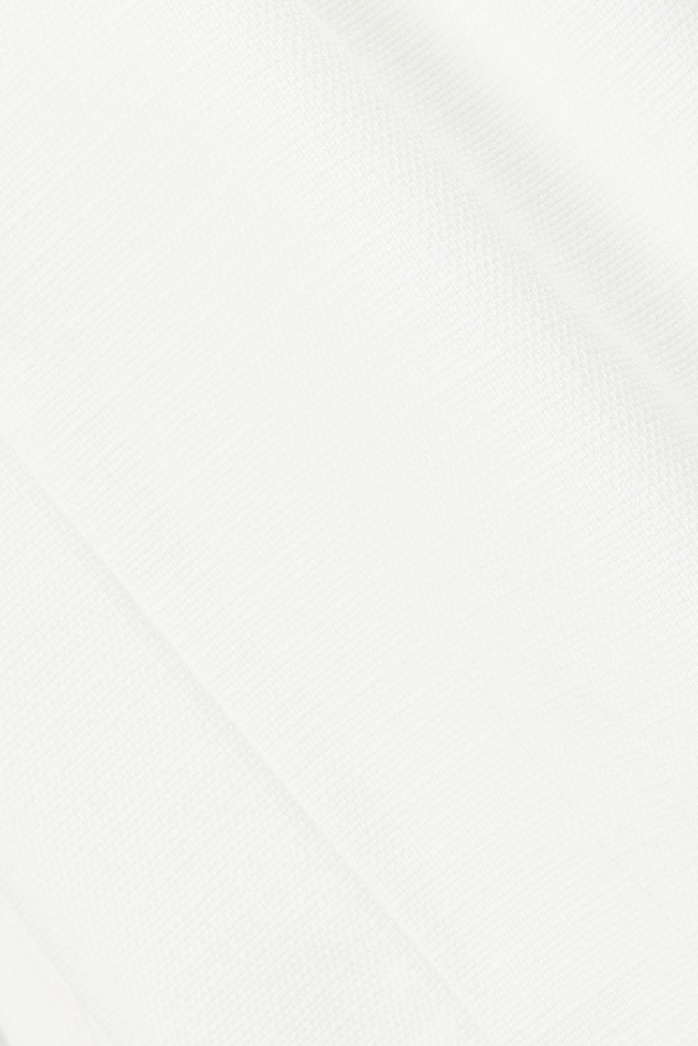 true-to-color:#ffffff