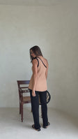 Video, Aylani Top